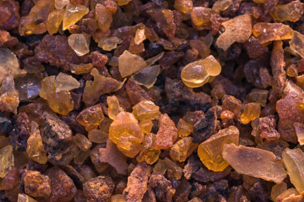 Commiphora Myrrha (Myrrh)