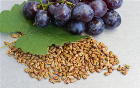 Vitis Vinifera, commonly known as Grapeseed, is a natural ingredient that has been used for centuries for its therapeutic properties.