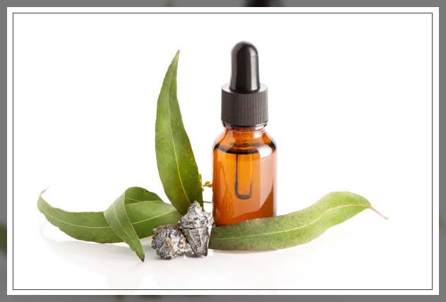 Combat Gum Disease & Plaque with the Power of Eucalyptus Oil for gums